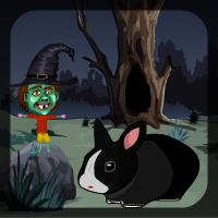 Games4Escape Black Bunny Rescue Walkthrough
